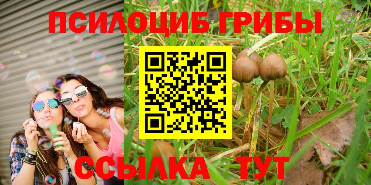Галлюциногенные грибы Magic Shrooms Ачхой-Мартан