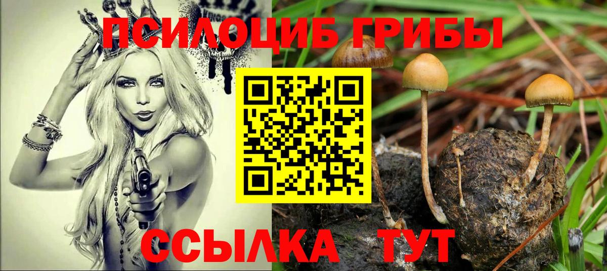 Ачхой-Мартан  Галлюциногенные грибы GOLDEN TEACHER  Вход с VPN 